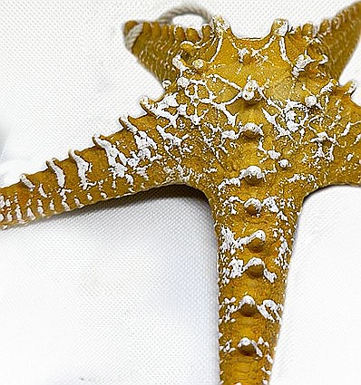 Stea de mare din rasina culoare galben [2]