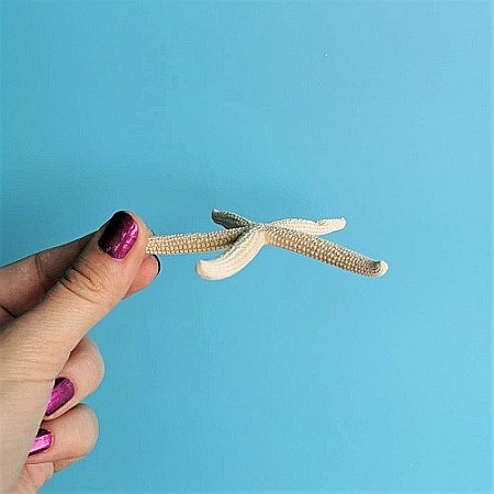 Stea de mare White Finger mica (1 buc) [3]