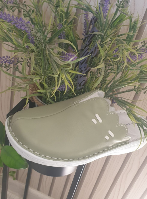 Saboti piele naturala 7061 Fistic [2]