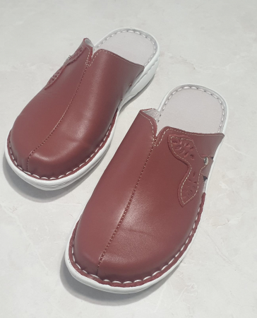 Saboti dama 3013 plamaniu [1]