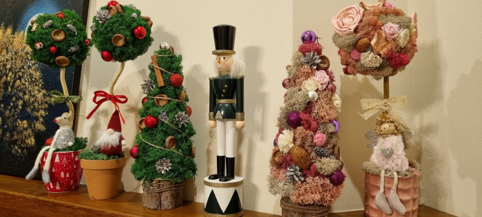 Brad din muschi si licheni [2]