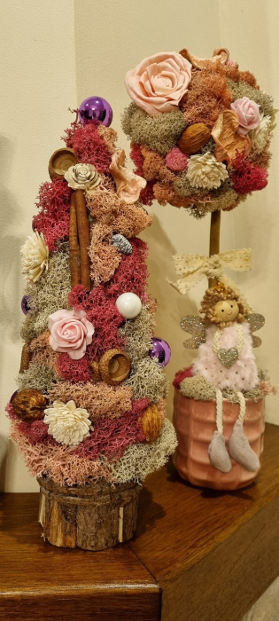 Brad din muschi si licheni [4]