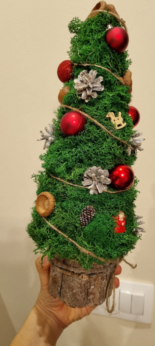 Brad din muschi si licheni [3]