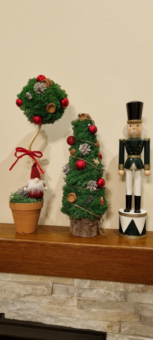 Brad din muschi si licheni [5]