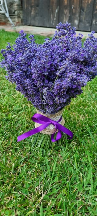 Buchet lavandă [1]