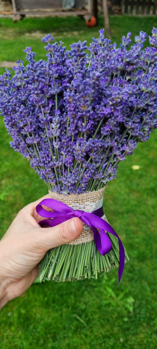 Buchet lavandă [2]