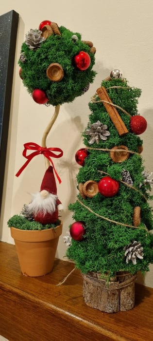 Pomișor cu muşchi [2]