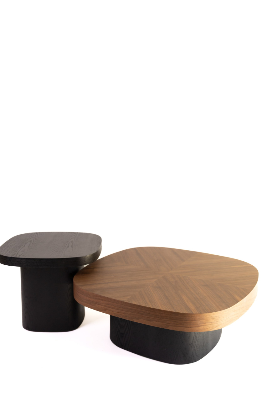 Set masute cafea Rova [5]