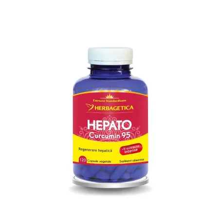 HEPATO CURCUMIN 95 120CPS [1]