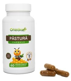 Probiotice și Prebiotice - PROBIOTIC NATURAL - PASTURA 60CPS VEGETALE