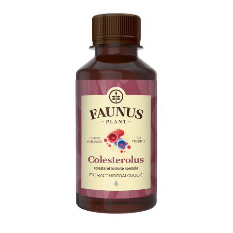 Inimă și Circulație - TINCTURA COLESTEROLUS 200ML