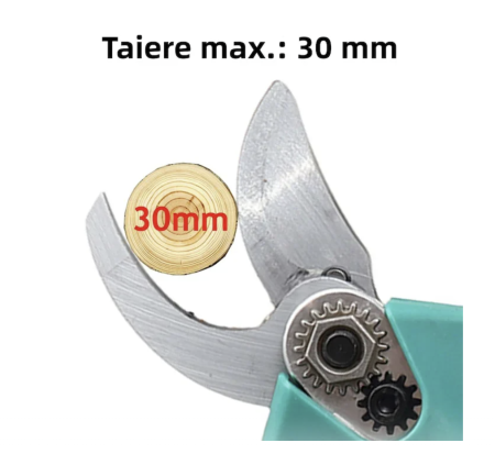 Foarfecă de Tundere Reîncărcabilă Fără Fir 48V, Oțel – Pentru Livezi, Grădini și Vii [1]