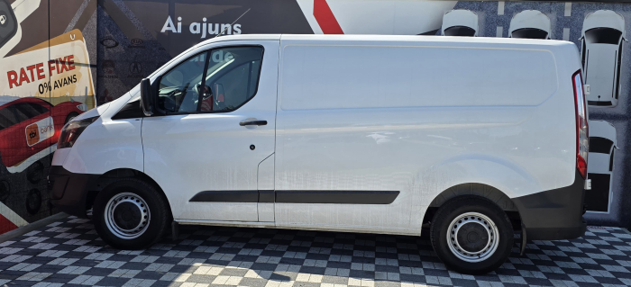 Ford Transit 2015 [4]