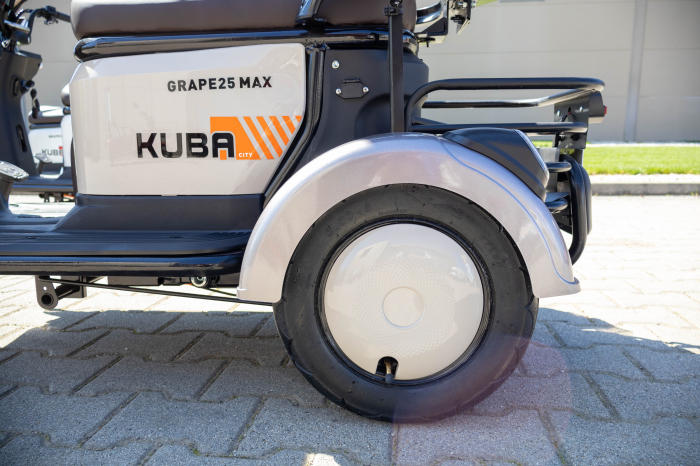 Kuba Grape 25 MAX [10]