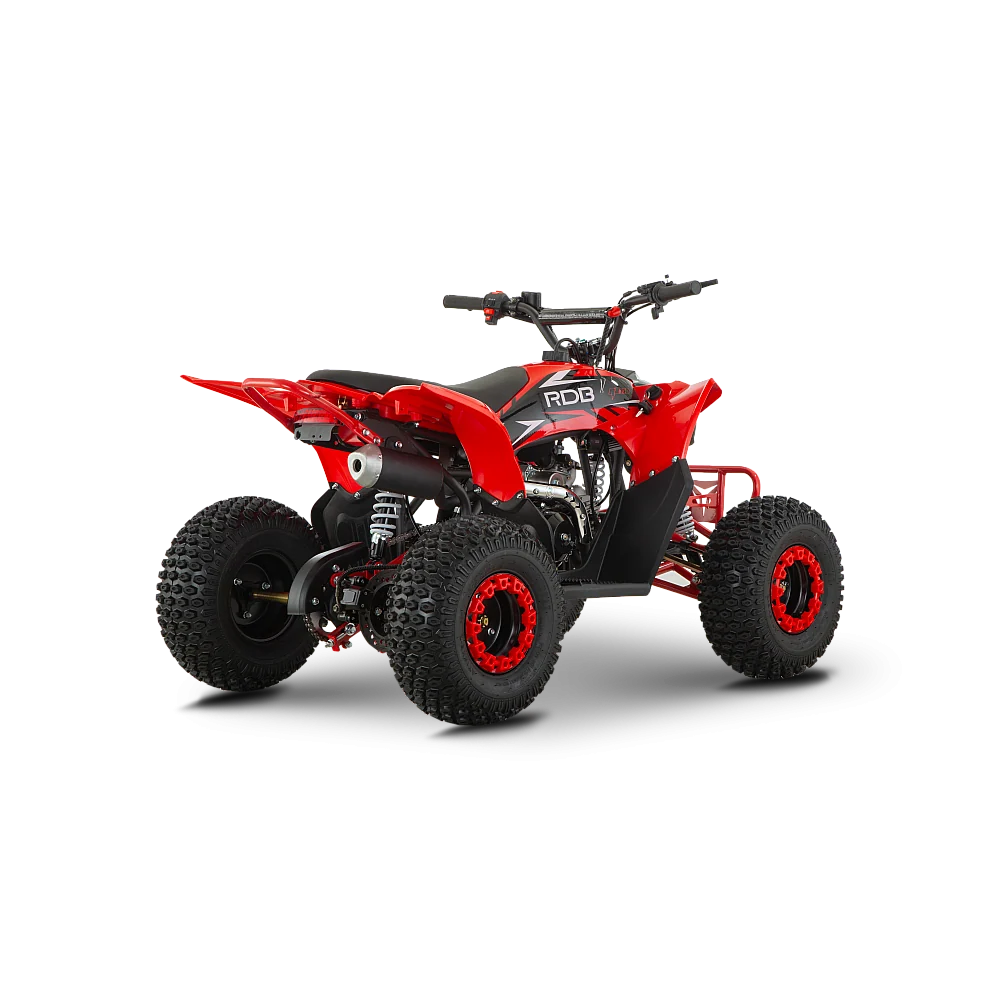 ATV de copii RDB-AZ110, 110cc, 4 Timpi [7]