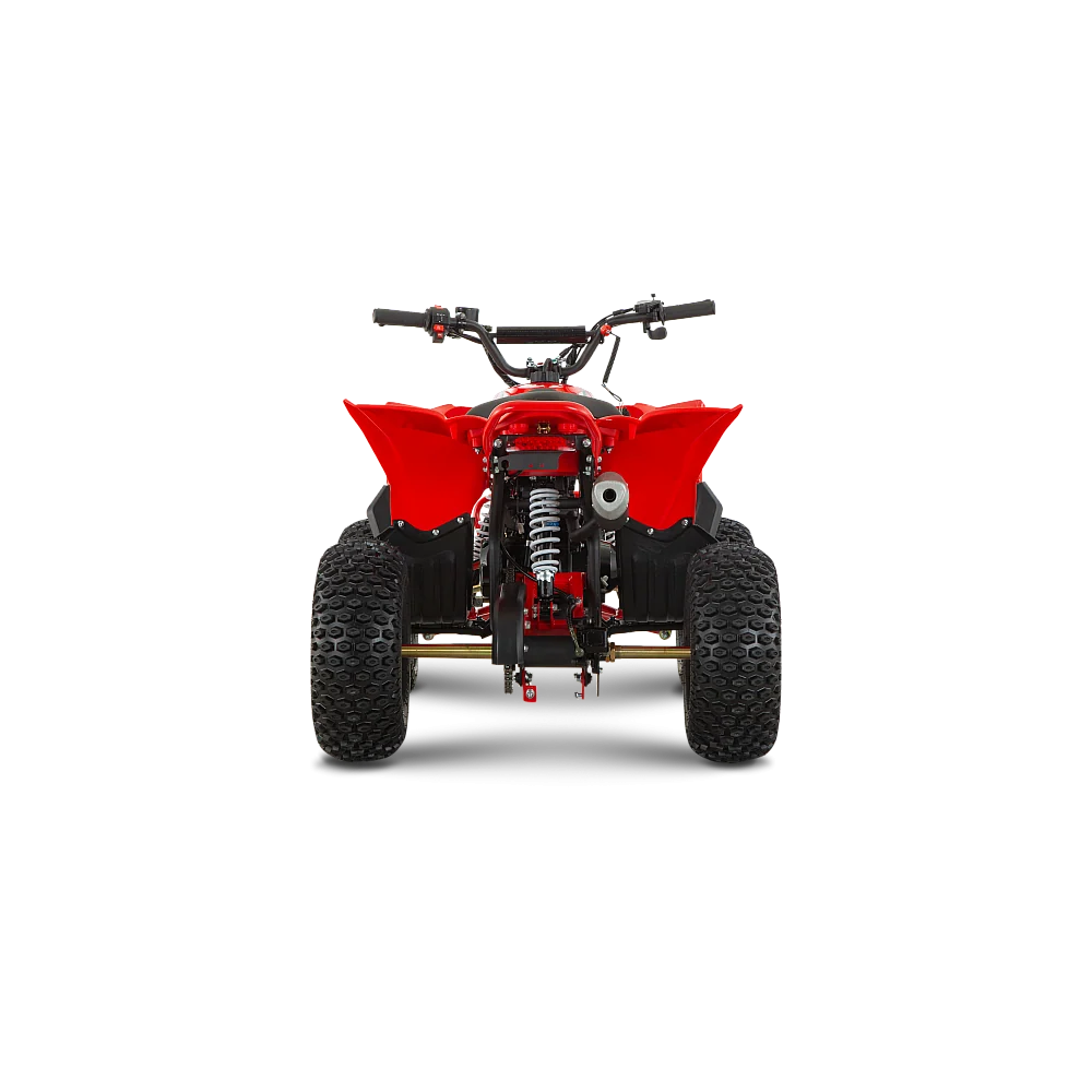 ATV de copii RDB-AZ110, 110cc, 4 Timpi [6]