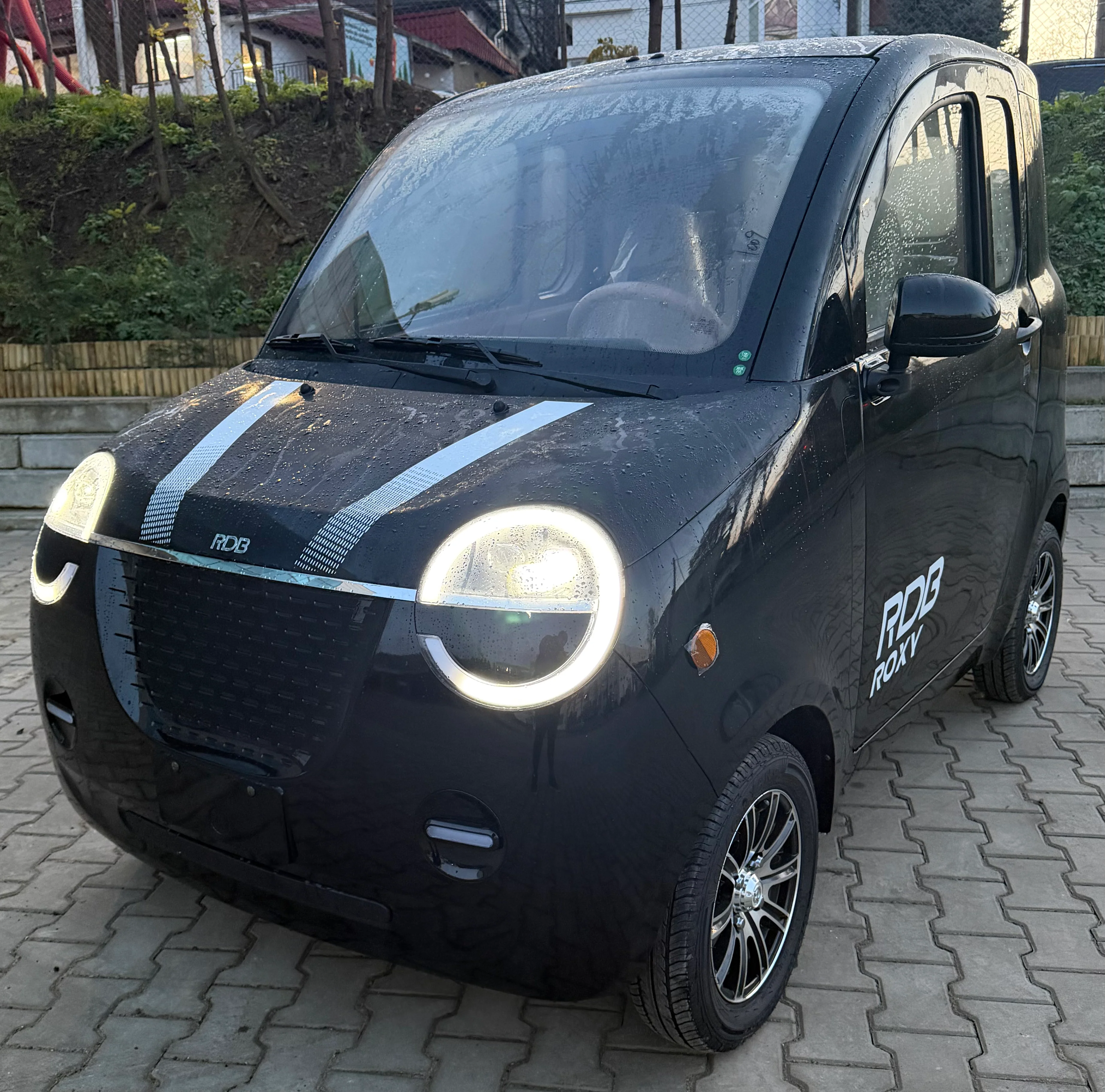 Masini Eletrice - RDB Roxy 3000w