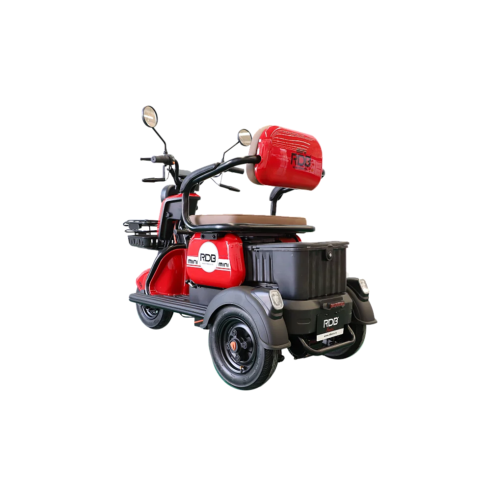 RDB MINI [1]