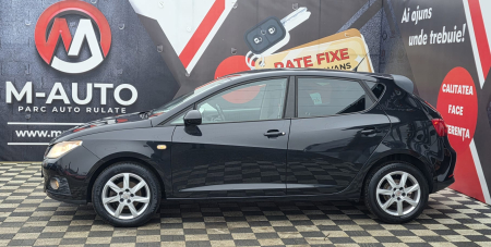 Seat Ibiza 2011 [3]
