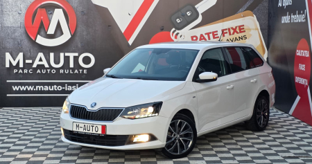 Masini - Skoda Fabia 2017