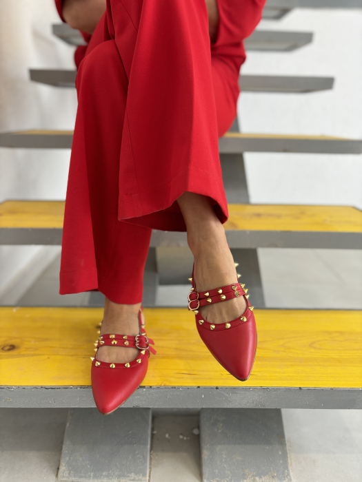 Balerini stiletto FHIONA ROSII cu tinte aurii [3]