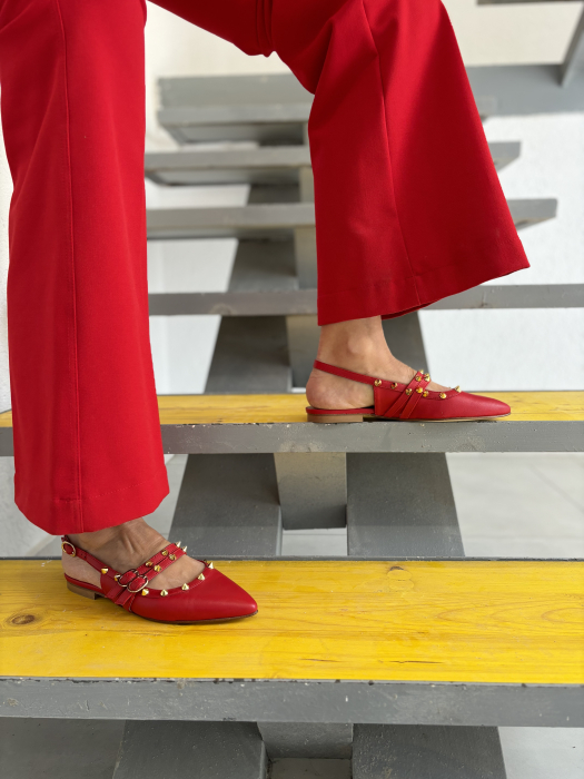 Balerini stiletto FHIONA ROSII cu tinte aurii [4]