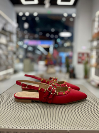 Balerini stiletto FHIONA ROSII cu tinte aurii [3]