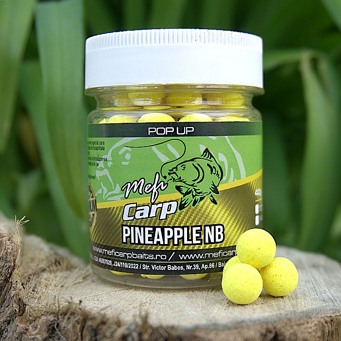 Pop Up Pineapple NB [2]