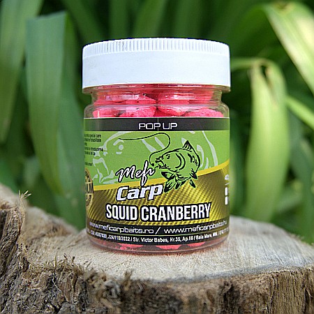 Pop Up Squid Cranberry [1]