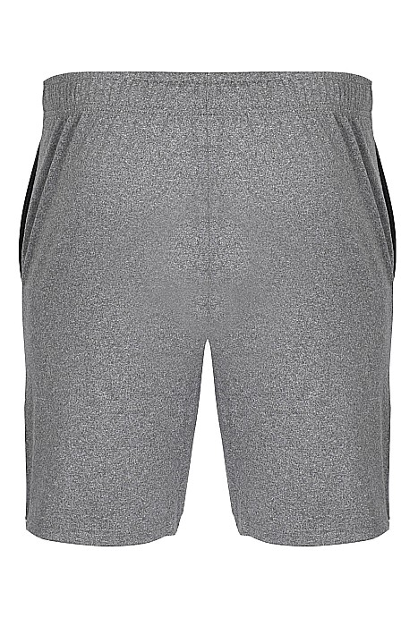 Pantaloni scurti barbati 4F SHM383 Gri [3]