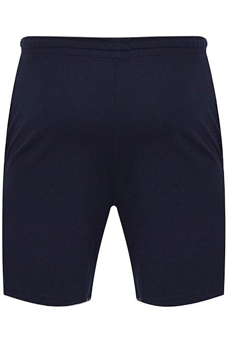 Pantaloni scurti U.S. POLO ASSN. US40 bleumarin [2]