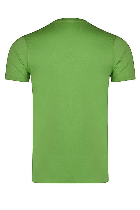 Tricou barbati U.S. Polo Assn. Nick Verde [2]