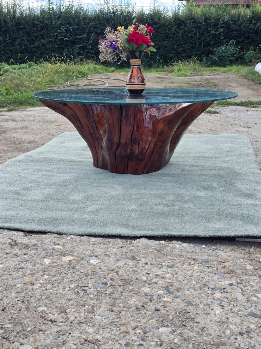 Măsuță de cafea rotundă din rădăcină [3]