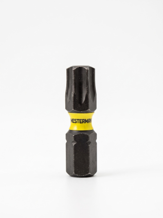 Set 25buc Bit Negru TX40 De Impact, Scurt [1]