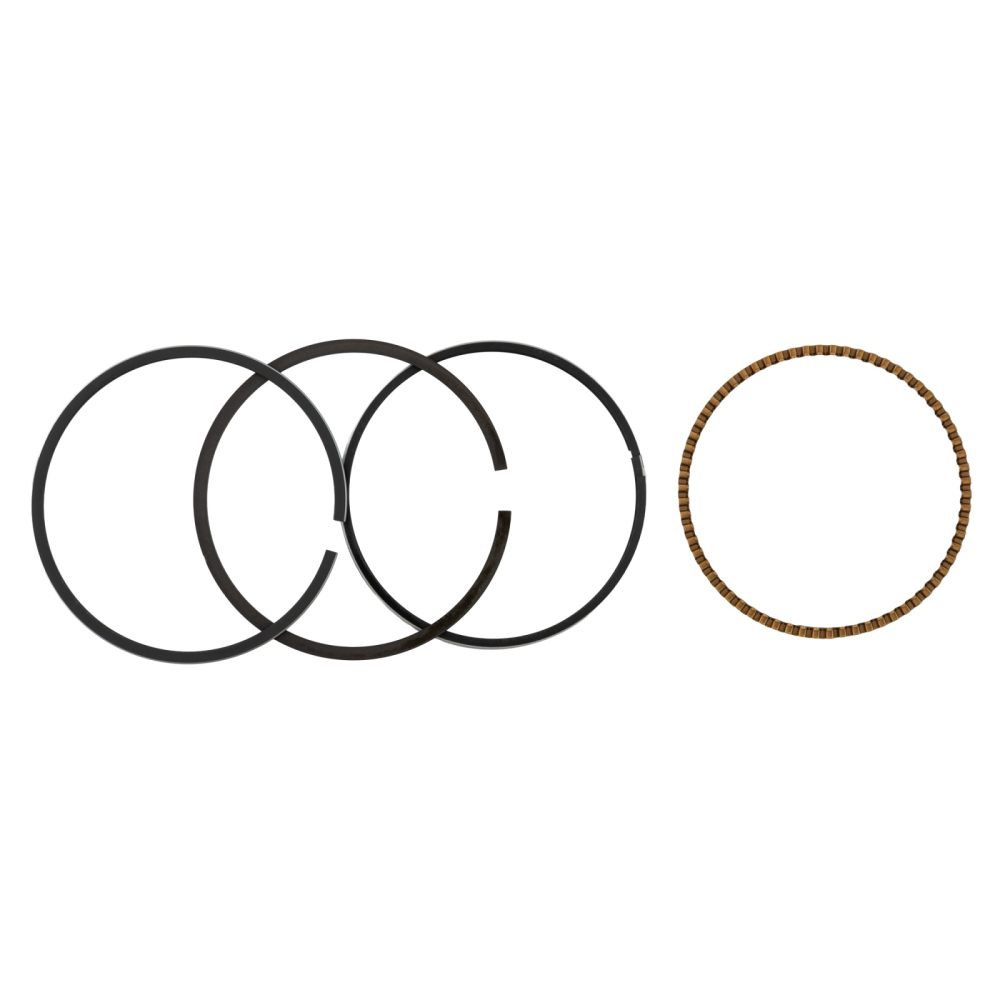 Set segmenti motopompa [1]