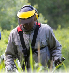 Masca Protectie universala din panza, Elefant [3]