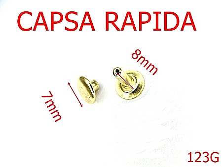 Capse rapide - 123G/CAPSA RAPIDA -7-mm---gold-16A7----