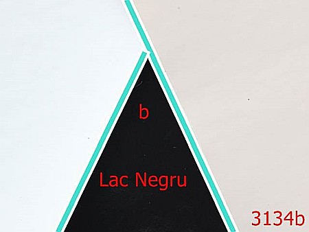 Pentru marochinarie - 3134b/Piele Lac-1.4 ML----negru-----