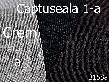 Captuseala - 3158a/Captuseala 1-a-1.4 ML----crem-----