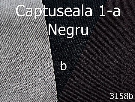 Captuseala - 3158b/Captuseala 1-a-1.4 ML----negru-----