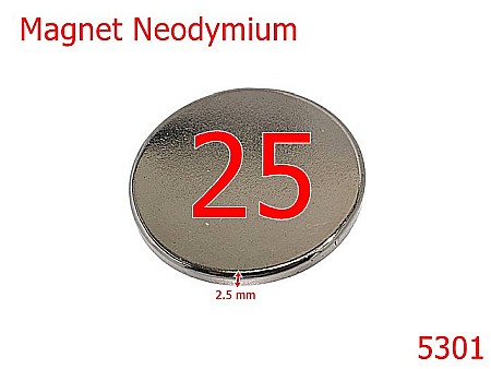 Noutati - 5301/Magnet Ascuns Rotund Pentru Marochinarie-25-mm-neodymium-2.5-9A7