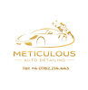 Meticulous Auto Detailing