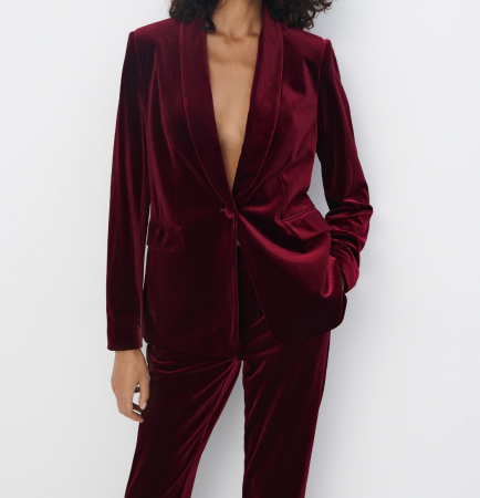 Blazere - Sacou catifea