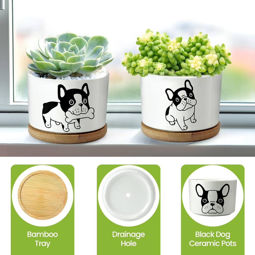 Set 4 ghivece decorative ceramice cu suport din bambus, model câine [9]