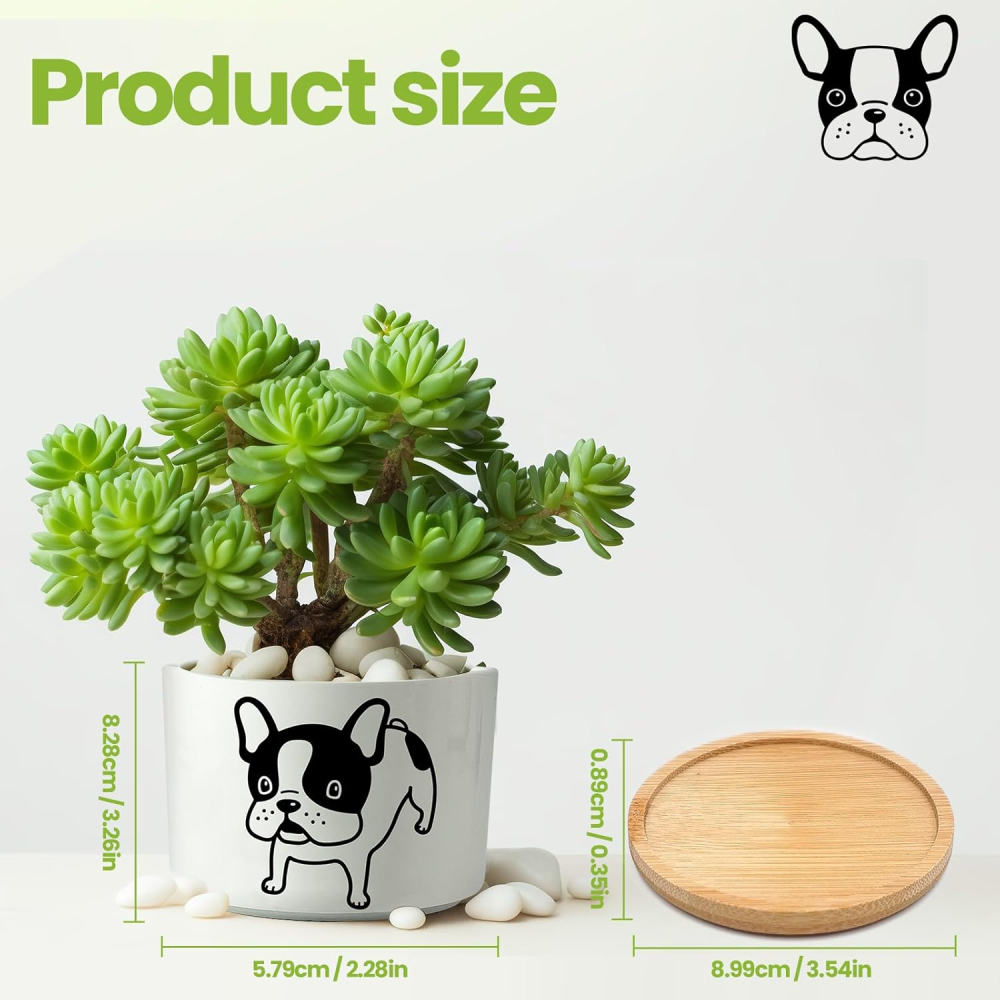 Set 4 ghivece decorative ceramice cu suport din bambus, model câine [5]