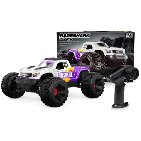 Mașină cu telecomandă UDI R/C Monster Truck Brushed UD1611, scara 1/16, 4WD, 30 km/h [10]
