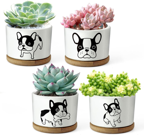 Decorațiuni - Set 4 ghivece decorative ceramice cu suport din bambus, model câine