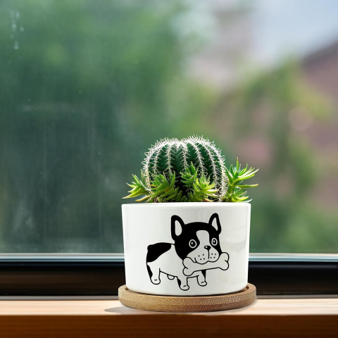 Set 4 ghivece decorative ceramice cu suport din bambus, model câine [5]