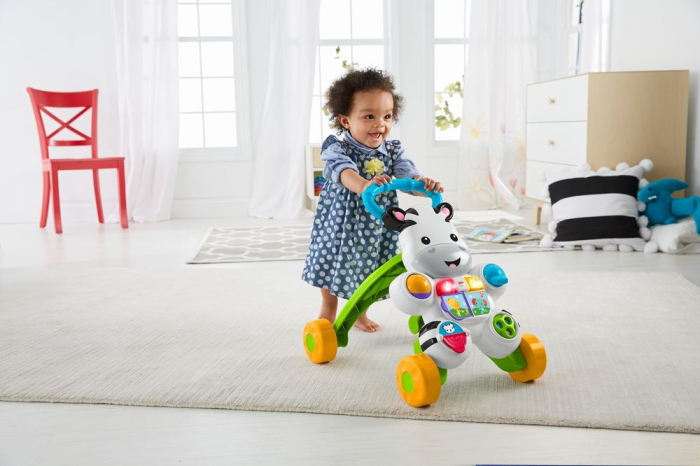 ANTEPREMERGATOR ZEBRA FISHER PRICE [9]
