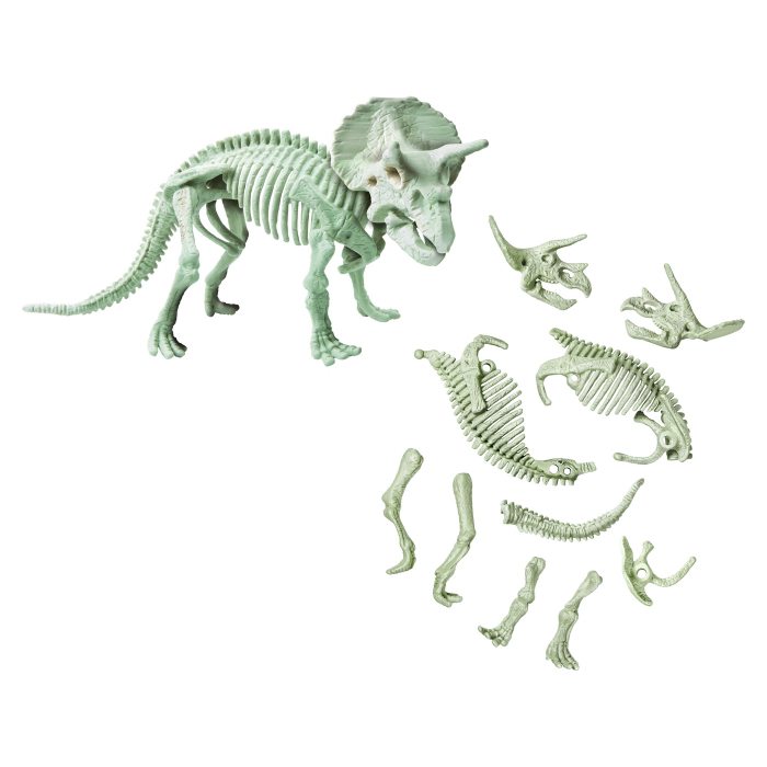 DESCOPERA DINOZAURUL TRICERATOPS [2]